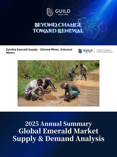 ✅ 2025 Annual Summary | Emerald Market Supply & Demand: What the Mines Were Really Telling Us — and What Comes Next？ 🔹 Zambia & Brazil still lead global supply 🔹 Large sizes & fine quality remain scarce 🔹 Demand continues to rise 📈 Indian market is booming, the U.S. stays strong — emeralds are back in focus！ #gemstone #emerald #gemfields #belmont #grizzlymining #jewelry #zambia #Brazil #gemology | GUILD Gem Laboratories