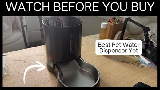 Watch Great Automatic Water Dispenser for Pets on Amazon Live