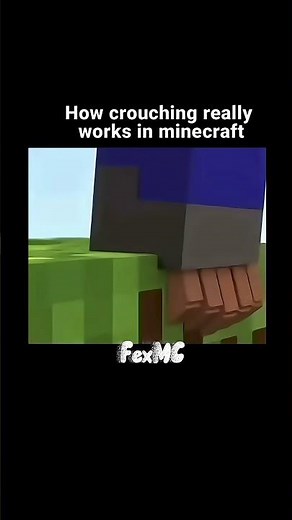 How Crouch works #minecraft
