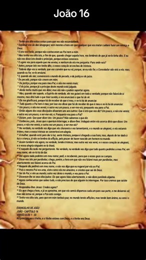 EVANGELHO DE JOÃO JOÃO - CAPÍTULO 16 VERSÍCULOS 1 - 33 No princípio era o Verbo, e o Verbo estava com Deus, e o Verbo era Deus. João 16 é um discurso de despedida onde Jesus prepara seus discípulos para sua partida, prometendo a vinda do Espírito Santo (o Consolador). Ele avisa sobre perseguições futuras, explica a obra do Espírito em convencer o mundo do pecado, justiça e juízo, e garante que a tristeza deles se converterá em alegria. Este capítulo fortalece a confiança de que, embora os seguid