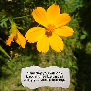 Astonishing on Reels