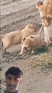 Introducing the "VitaWear Smart WatchBand," ,'"a next-- generation awearable gadget sonu ji