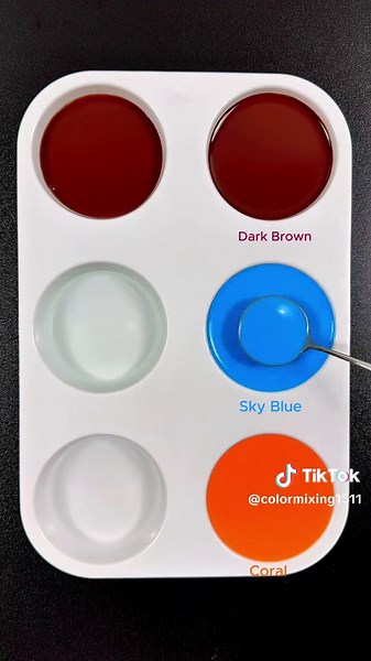 Discover the Color from Dark Brown, Sky Blue & Coral