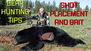 Bear Hunting Tips - Shot Placement And Baiting [Video]