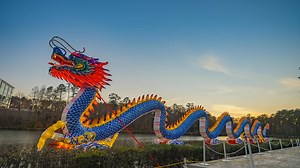 6.4K views · 259 reactions | Who will be this year's special guest star on Symphony Lake at Booth Amphitheatre in Cary? There's one way to find out boothamphitheatre.com | North Carolina Chinese Lantern Festival | Facebook