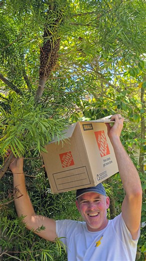 730K views · 5.4K reactions | It's raining bees ☂️ #savethebees #bee #swarm #animal #rescue #bugs #nature #insects #beekeeper #beekeeping #pestcontrol #funny #funnyanimals #interesting #safetyfirst | Mr. Mrs. Bee Rescue | Facebook