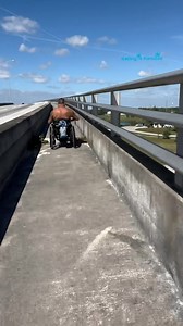 1.1K views · 17 reactions | Definitely my favorite piece of...