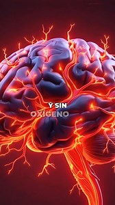 233K views · 9K reactions | ¿Qué es un derrame cerebral La verdad que nadie te explica 易 #derramecerebral #cerebro #salud #Prevencion #reelsviralシfb #virals #viralpost2025シ | Secretos del Cuerpo Humano | Facebook