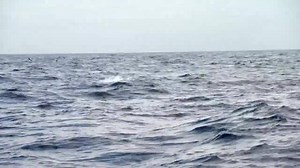 BRAND NEW FISHING EDGE THIS SATURDAY 6AM Episode 14 Tathra NSW Lee heads to the South Coast with his good mate Lee McDuffie where the boys get into some great action on striped marlin. While the fishing is great, the accommodation is well worth checking out! | Lee Rayner