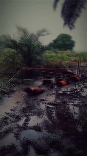 menyalahwii #cowocowo 🔥🚀