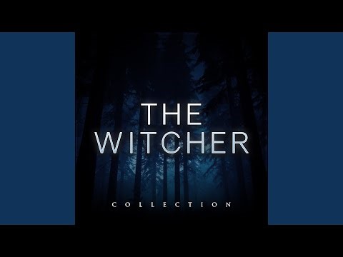 Toss a Coin To Your Witcher