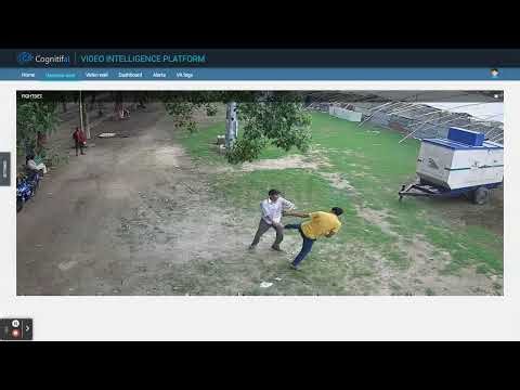 Assault - Fight Detection