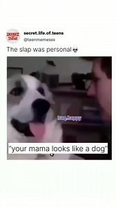 ✨ #animals #nature #cats #dogs #pets #cute #cutecat #cutedog #cows #alpacas #farm #fish #koi #farmanimals #funny #wildanimals #turkey #chicken #ducks #bear #squirrels #fish #rabbits #viral #viralvideo #garden #food #nature #grow #growbed #gardener #hobby | Philippines Online Shopping Family | Facebook