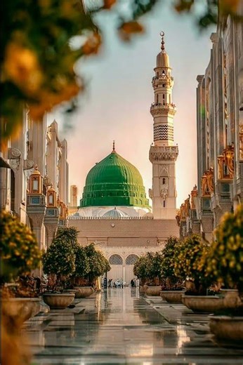 Madina Shareef Ki Khoobsurat 🌟 | Heart Touching Scene