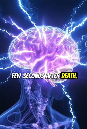 😱 Your brain can stay active after death… 😱 #scifi