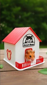 3D Printed Hamster House: Easy DIY Tutorial!