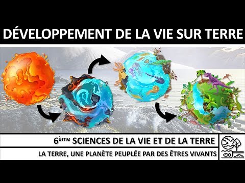 Les conditions du développement de la Vie sur Terre – Capsule 6ème SVT
