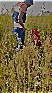 #TIMElAPSE Remix START to FINISH Alone BUILD LOG Cabin ( Wooden House ) How To Build Wooden #video #reels #fbreels #viraltimelapse #timelapse #StarsEverywhere #viralvideochallenge #viralreelsシ #virals #viralvideoシfypシ゚videoviralシallシ2025 | Pummy Gupta