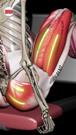 Muscle & Motion | Lying Leg Press: The Machine That Builds Your Legs 🦵💥 Want to build strong, powerful legs, but squats aren’t your thing? The lying leg... | Instagram