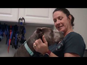 Careers Start Here: Animal Care Technician