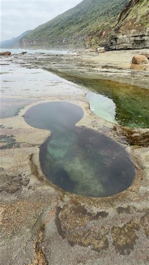 Figure Eight Pool Australia Isi Merita Plimbarea 100%