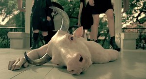 [TV] Meet the Witches of “American Horror Story: Coven” In Newest Promo!!!