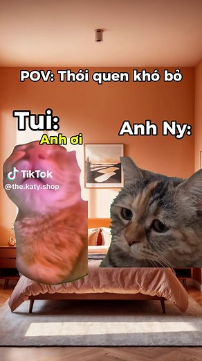 Cắn iu :D #memes #memecut #tiktokshop #tiktok #catsoftiktok #cat #funny #thekatyshop #memestiktok #meme #cute #capcut #couple #FYP #trending #memes #gaubong #labubu #sale
