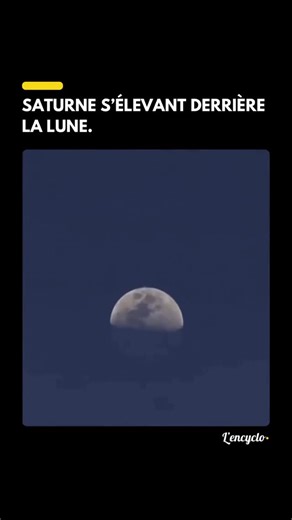 L’encyclopédiste 🌟 on Instagram: "Cette simulation de SpaceEngine montre les anneaux de Saturne émergeant majestueusement derrière la Lune lors d’une occultation lunaire, un rare alignement céleste où la Lune cache temporairement la planète à la vue. Tu apprécies ce type de contenus ? ✨ Rejoins-nous sur @l_encyclopediste 🧠 DM pour crédits ou retrait de post / DM for credits or removal Rédaction : @marvinlency _________ #explore #explorer #culture #histoire #photographie #savoir #decouvrir #