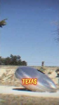 The Alien Who Got a Burial 🪦 #paranormal #ufo