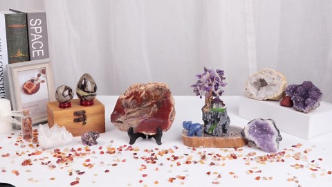 moonsix Irregular Petrified Wood Slab with Wooden Stand, Natural Mineral Stone Specimen Display for Feng Shui Decor Collection