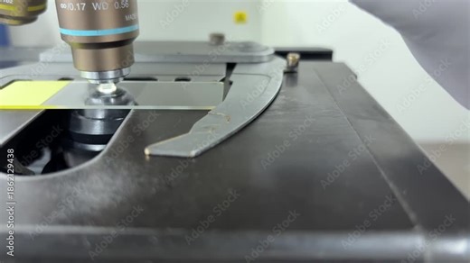 Microscope Stage Movement and Objective Lens Change During Laboratory Analysis