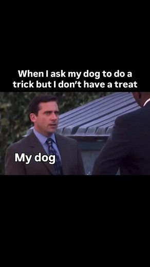 24K views · 93 reactions | If I have that treat my dog becomes a...
