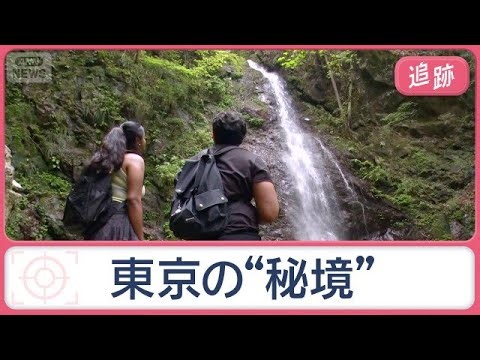 「東京最後の秘境」外国人にも人気 SNSで拡散「魔法のような時間」と絶賛のツアーも【Jの追跡】【スーパーJチャンネル】(2026年6月13日)