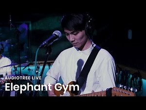 Elephant Gym - Spring Rain - 春雨 | Audiotree Live