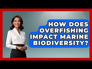 How Does Overfishing Impact Marine Biodiversity? | The Marine Life Explorer