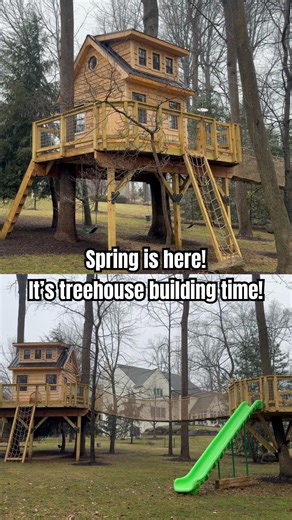 Spring is here! It’s treehouse building time!