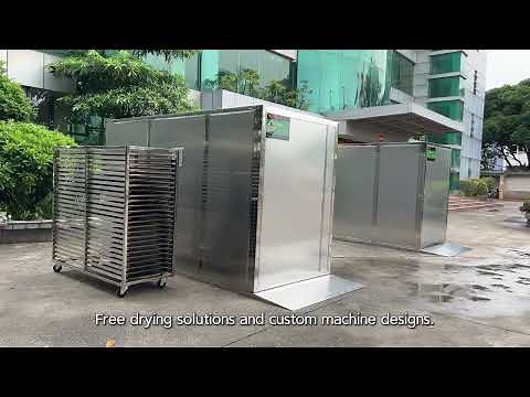 IKE AIO-DF300T Commercial Food Drying Equipment | Intelligent Control, Versatile & Customizable