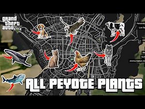 GTA 5 - All 27 Peyote Plants Location Guide - Play as an animal