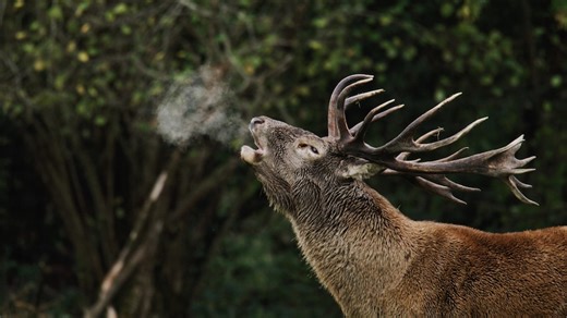How one family turned their failing farm into a pocket of paradise