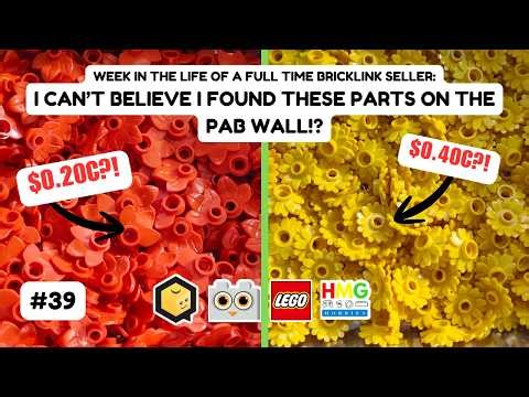I CAN'T BELIEVE I FOUND THESE PARTS ON THE PAB WALL?! Bricklink Seller Vlog #39