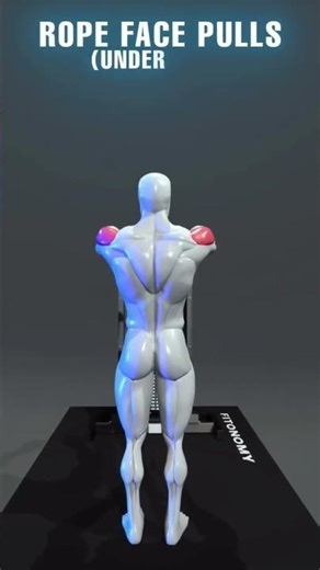 How to Build Strong Shoulders #gym #gymmotivation #workoutmusic #shoulderworkout