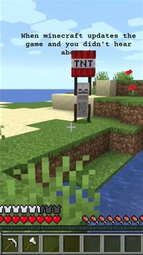 Minecraft TNT yeeter #minecraft #minecraftmemes #minecraftshorts #minecraftgaming #gaming