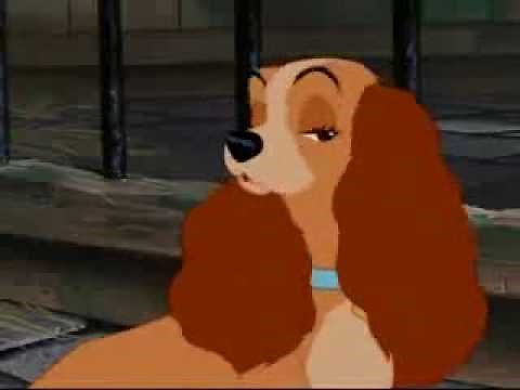 Lady and the Tramp Pound Scene