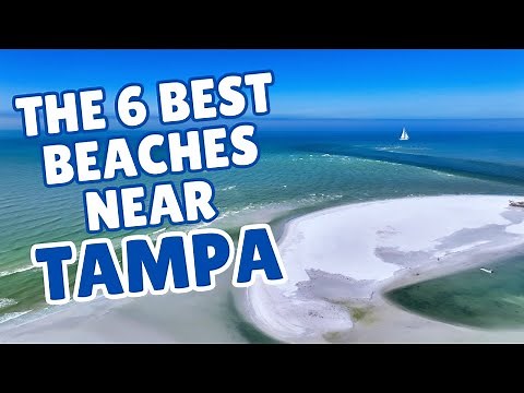The 6 Best Beaches Near Tampa (And Why Locals Love Them)