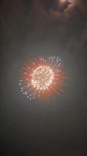 8” Inch 200mm shell beautiful 🔥