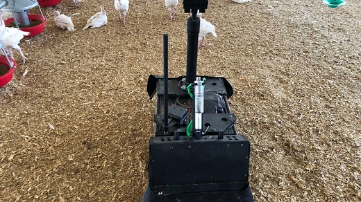 Poultry Patrol: Robot at family turkey farm keeps an eye on the flock
