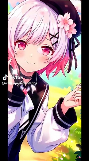 Spring Blossom Live Wallpapers for Your Phone