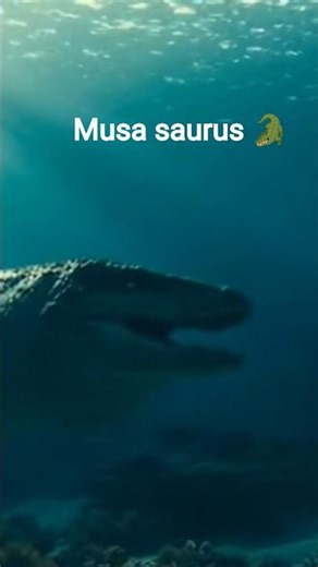 Evolution of Mosasaurus#shorts#evolution