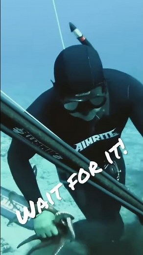 How to KILL OCTOPUS proper way 🐙🐙🐙🐙💦💦💦💦 #shorts #octopus #kill #subscribe #like