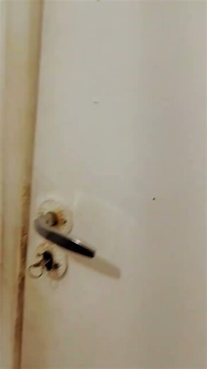 21 de março de 2026